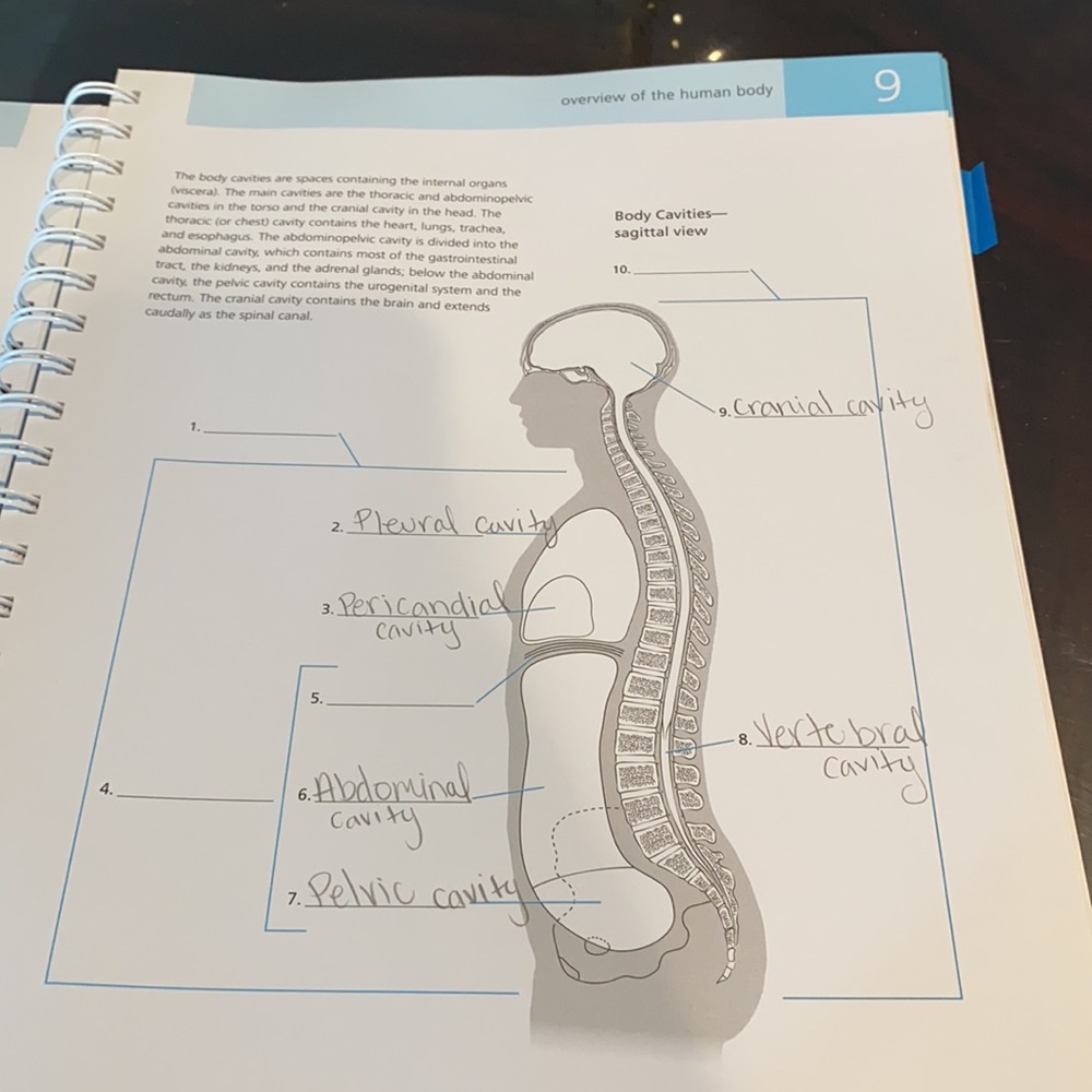 Anatomy practice book - Picture 5 of 13